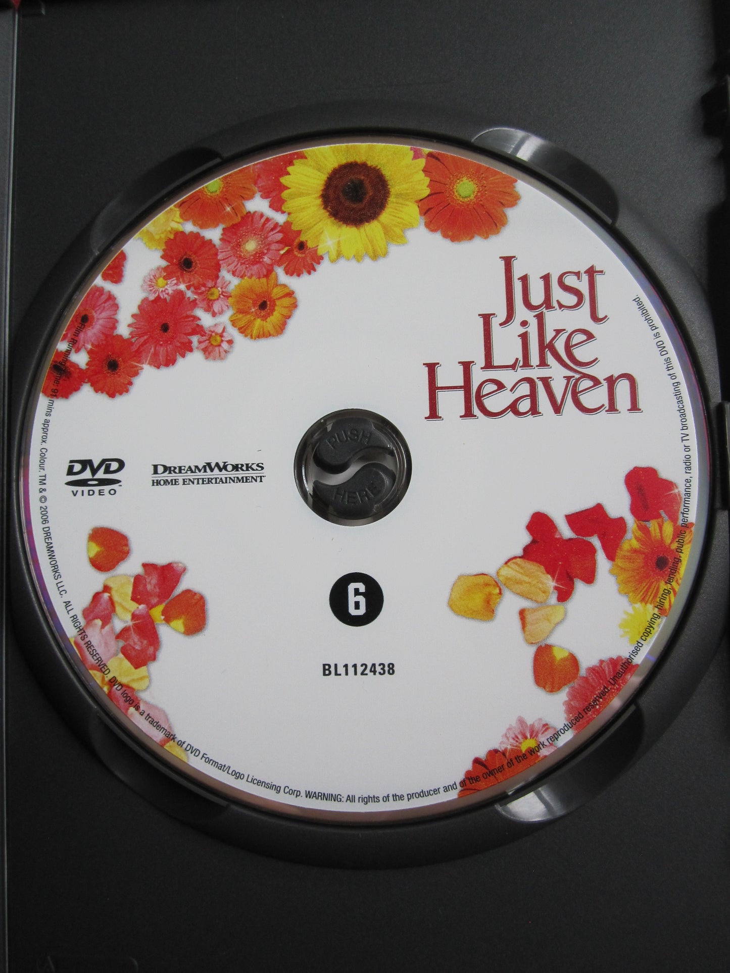 Just Like Heaven (2005)