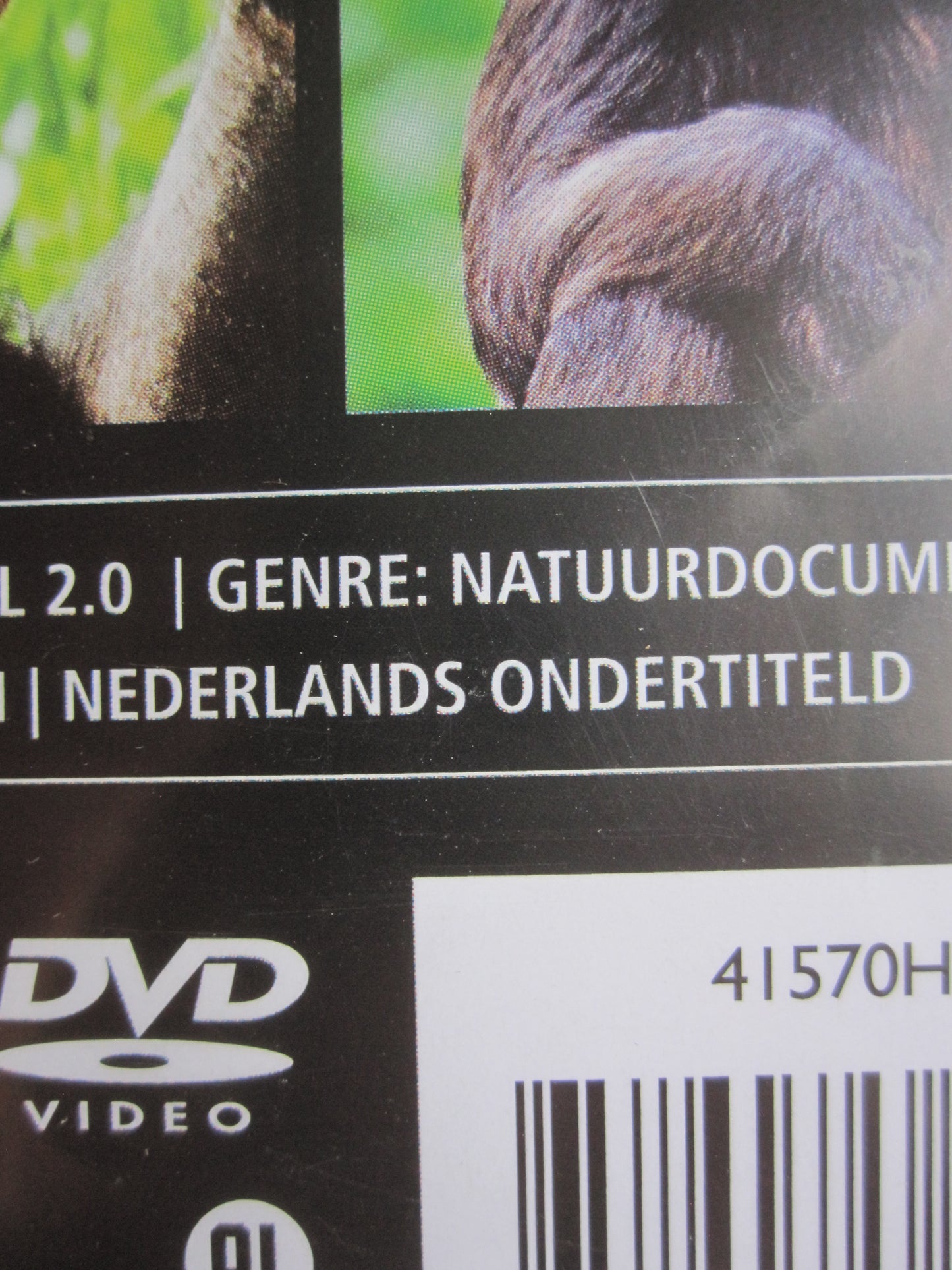 Natural World Chimp TV