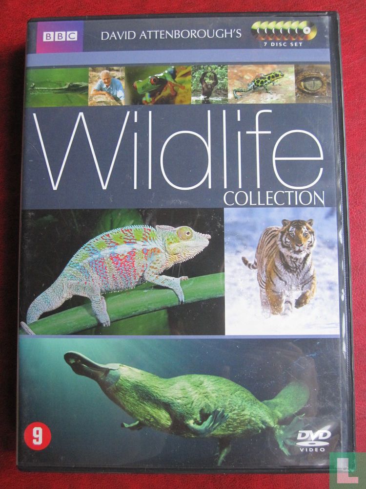 Wildlife Collection