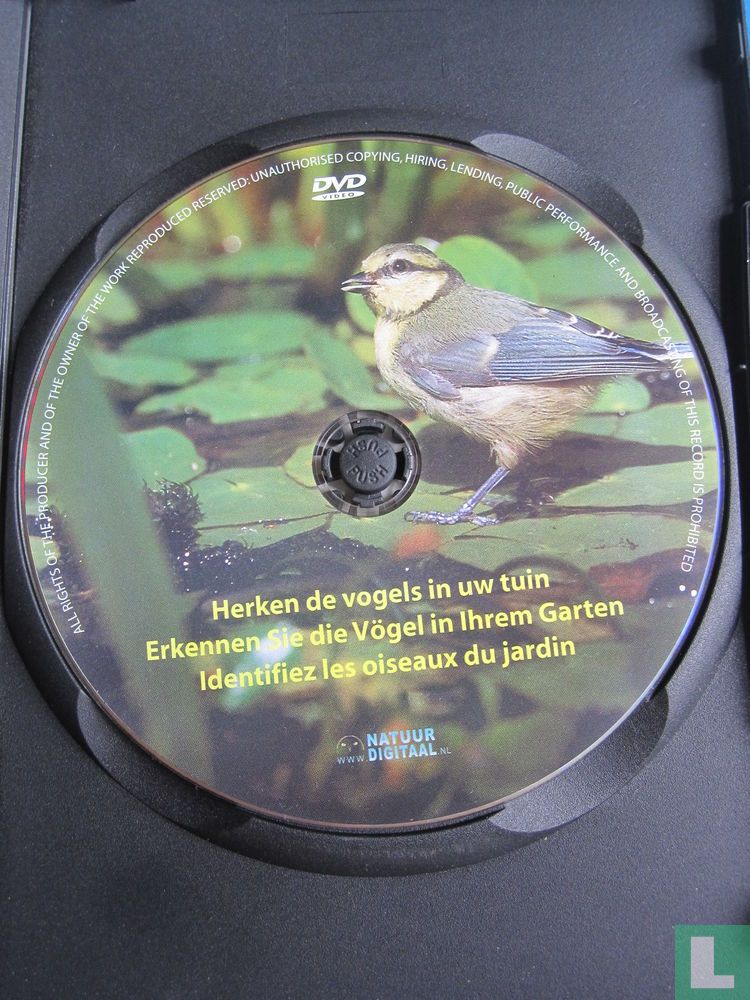 Herken de vogels in uw tuin