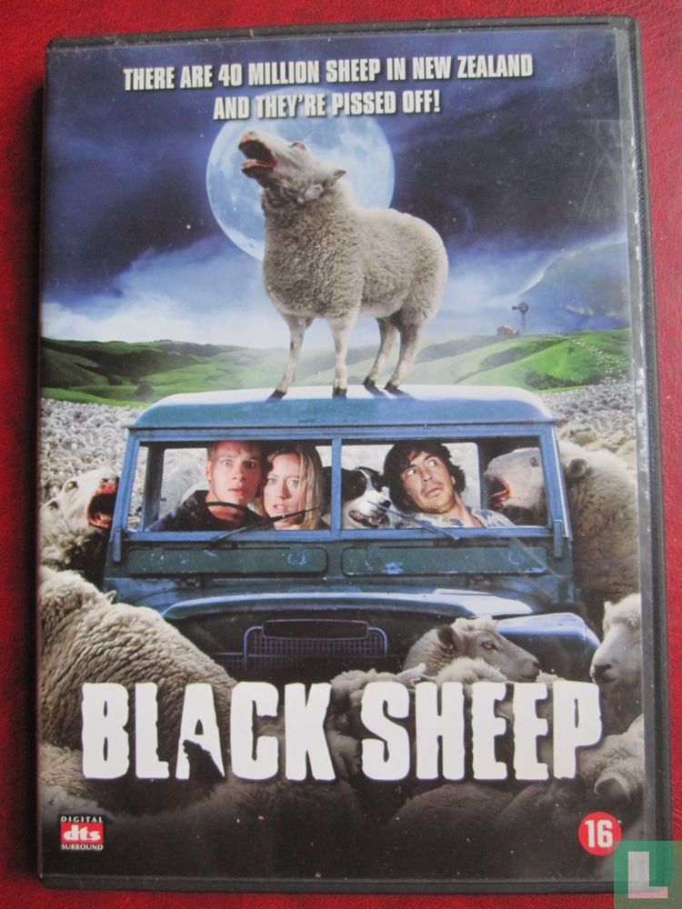 Black Sheep (2)
