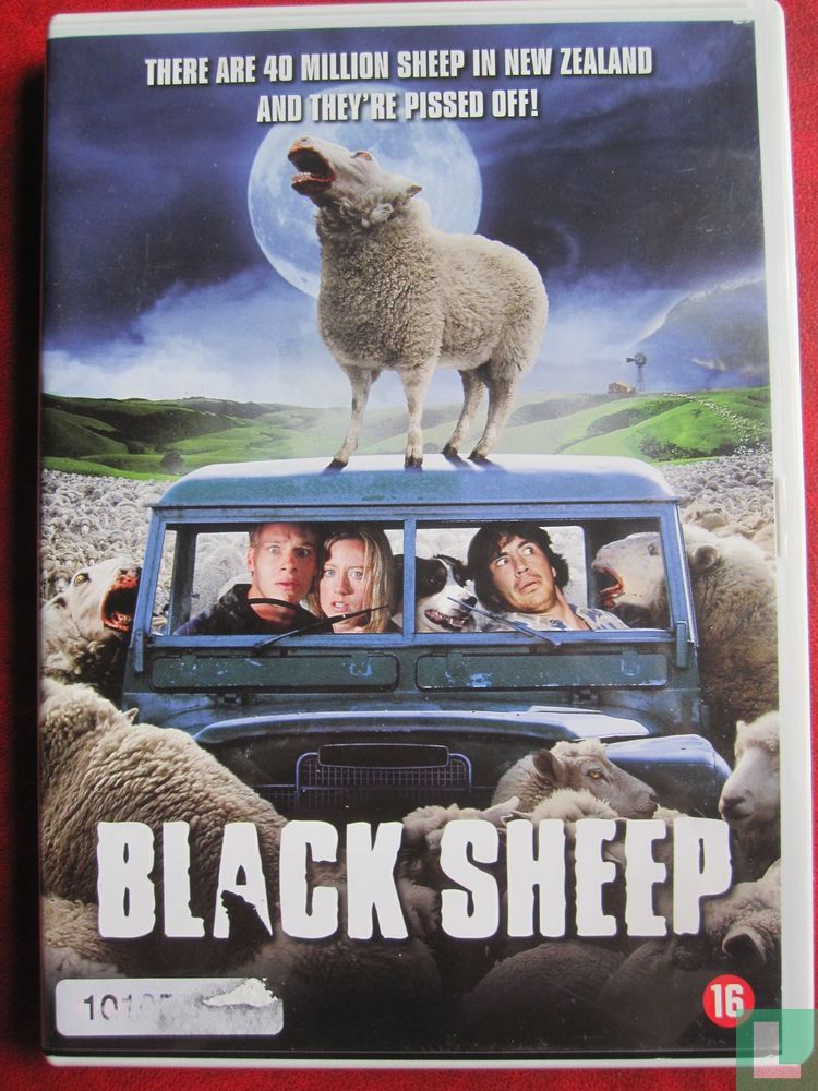 Black Sheep (1)