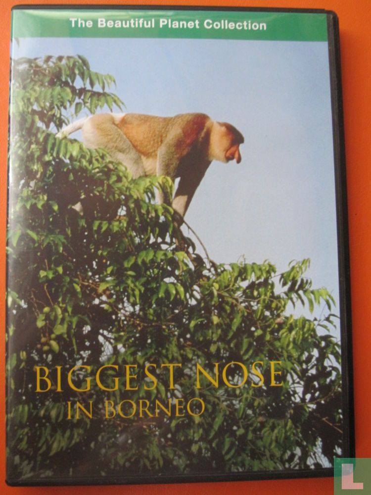 Biggest Nose in Borneo