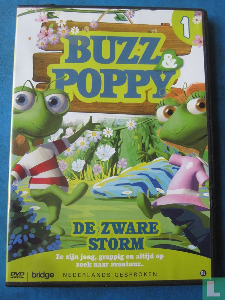 De zware storm