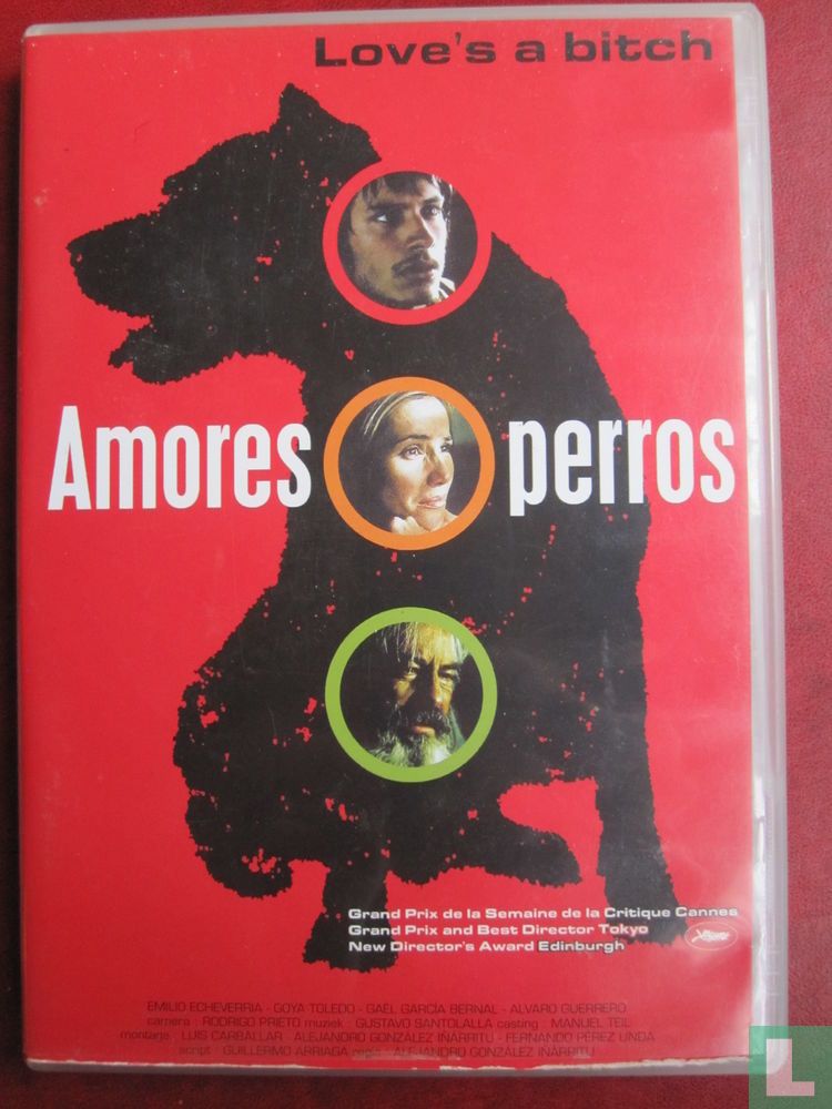 Amores perros