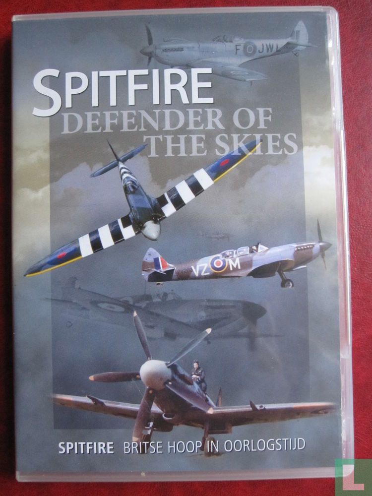 Defender of the Skies