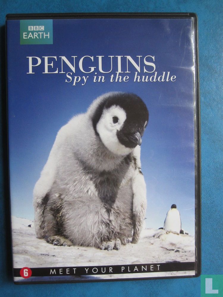 Penguins - Spy in the huddle