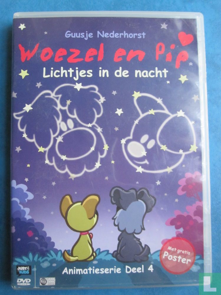 Lichtjes in de nacht