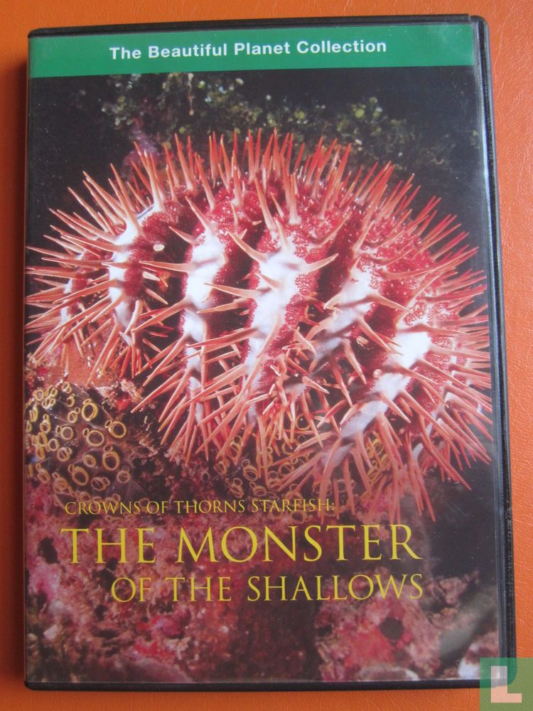 The Monster of the Shallows