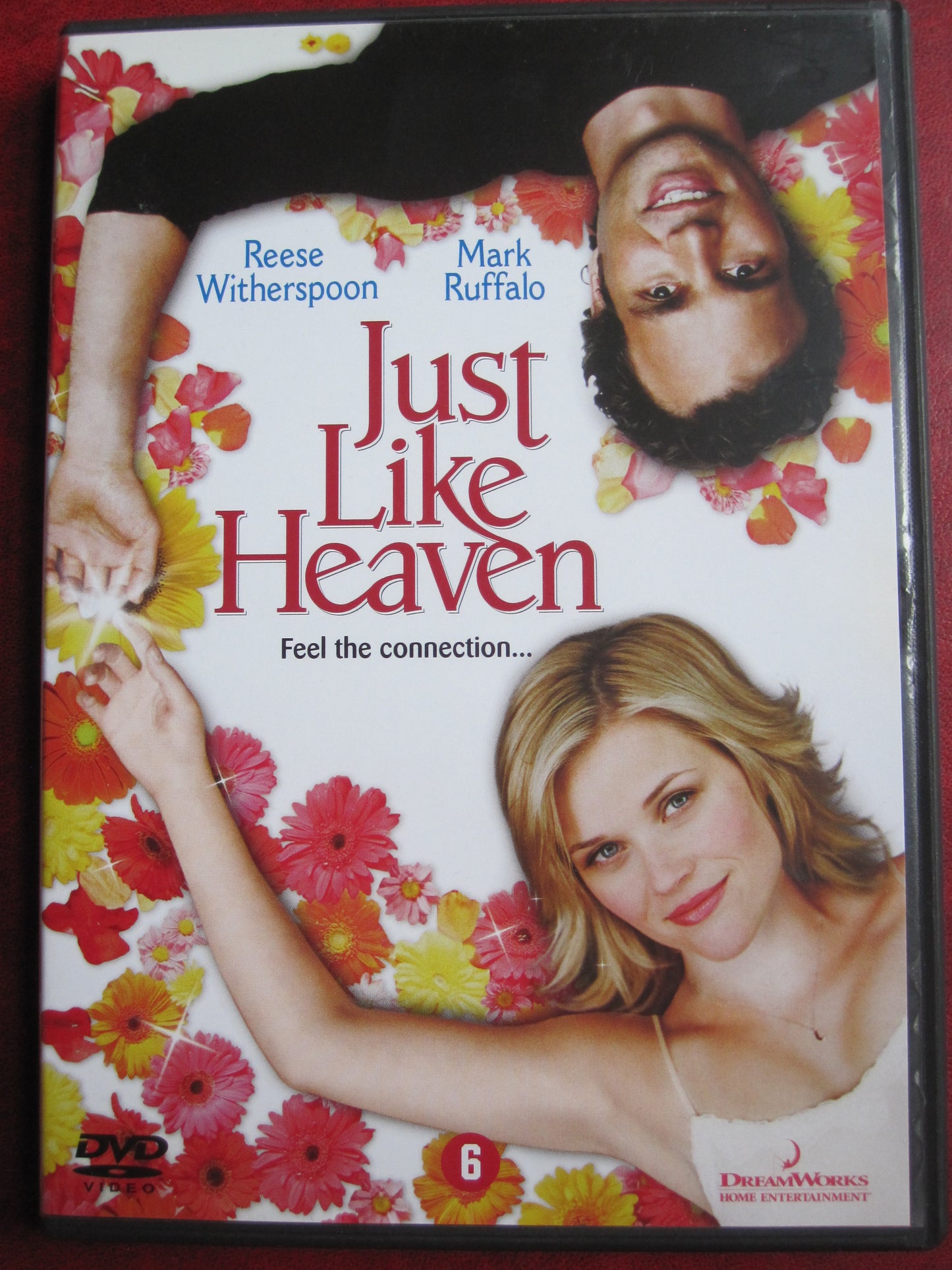 Just Like Heaven (2005)