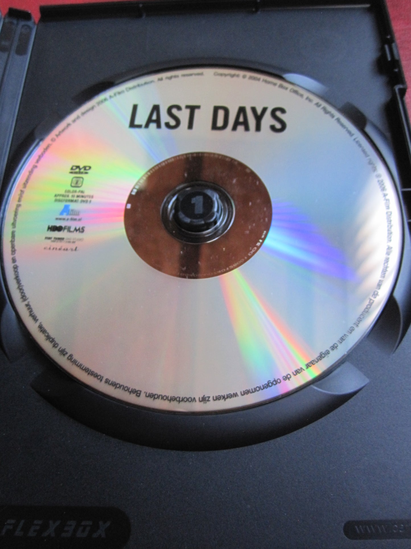 Last Days (2004)