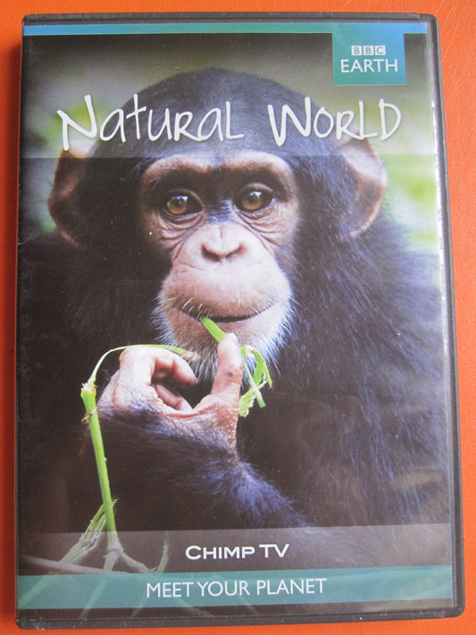 Natural World Chimp TV