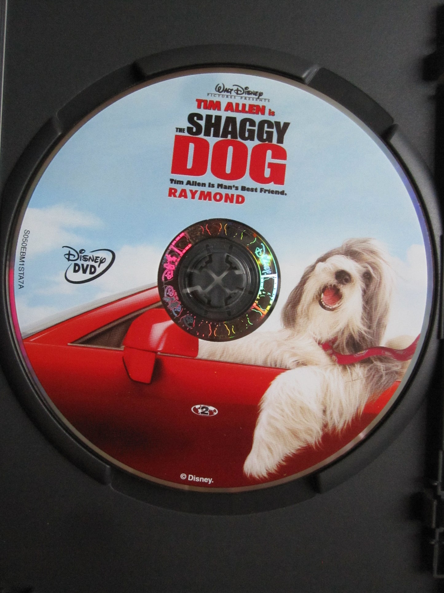 The Shaggy Dog (2006) DISNEY