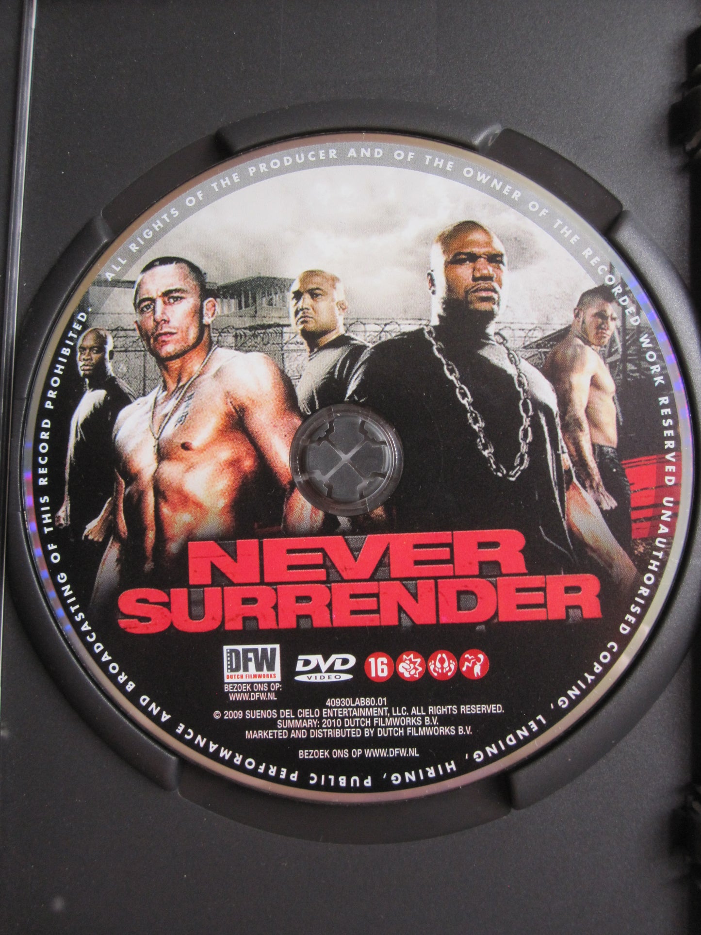 UFC Never surrender