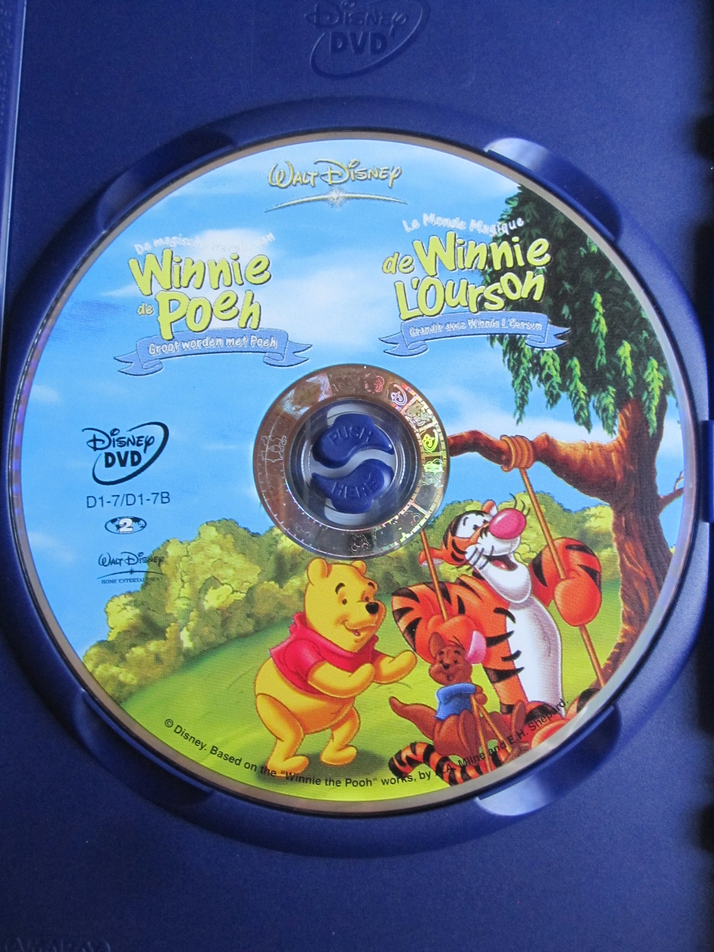 Winnie de Poeh - Groot worden met Poeh (2004) DISNEY