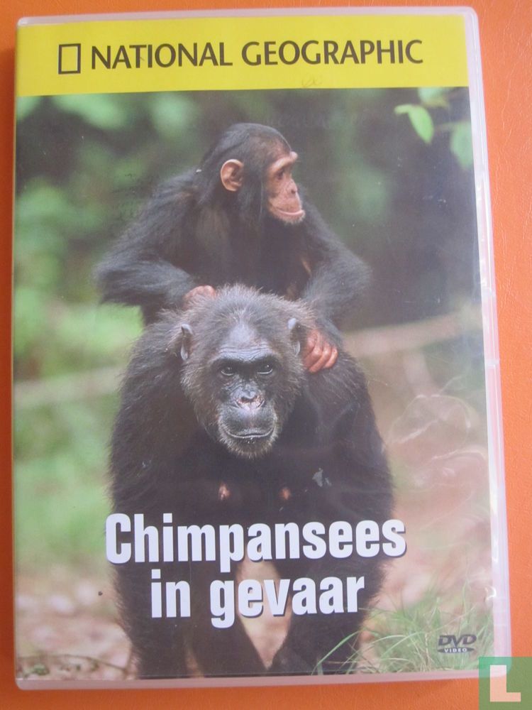 Chimpansees in gevaar (2)