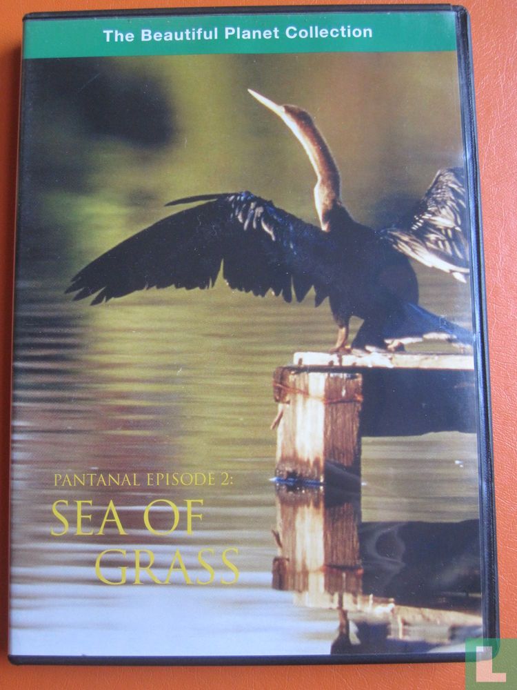 Pantanal Episode 2: Sea of grass