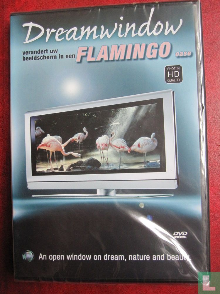 Dreamwindow - Flamingo oase (1)