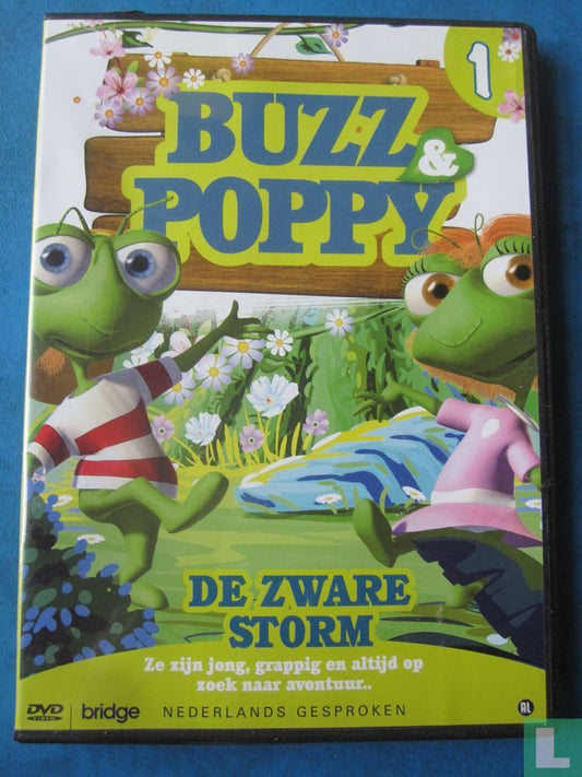 De zware storm