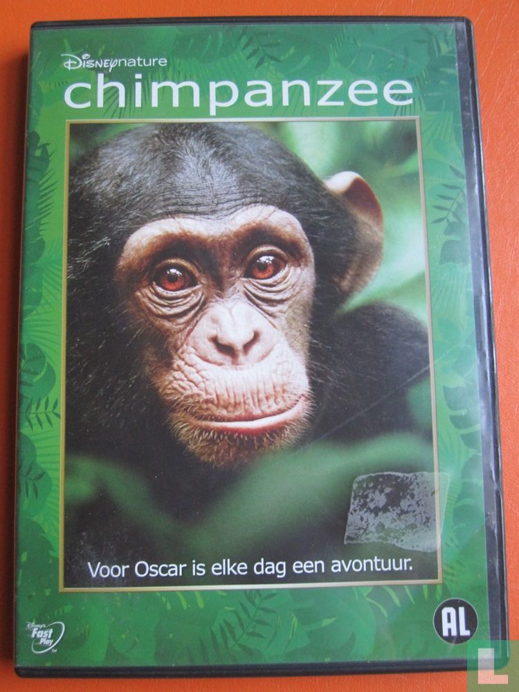 Chimpanzee