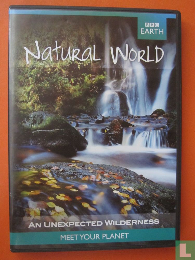 An Unexpected Wilderness