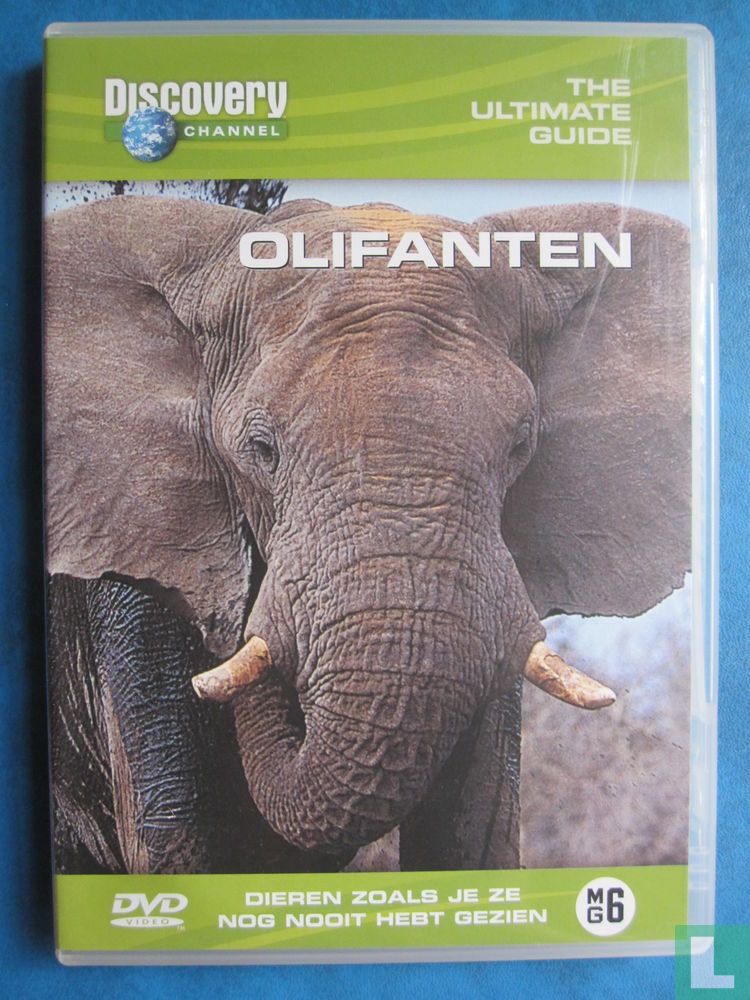 The Ultimate Guide: Olifanten