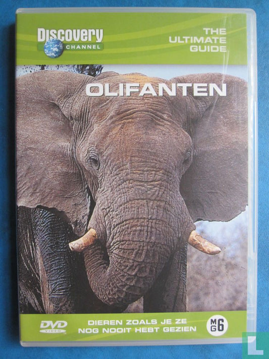 The Ultimate Guide: Olifanten