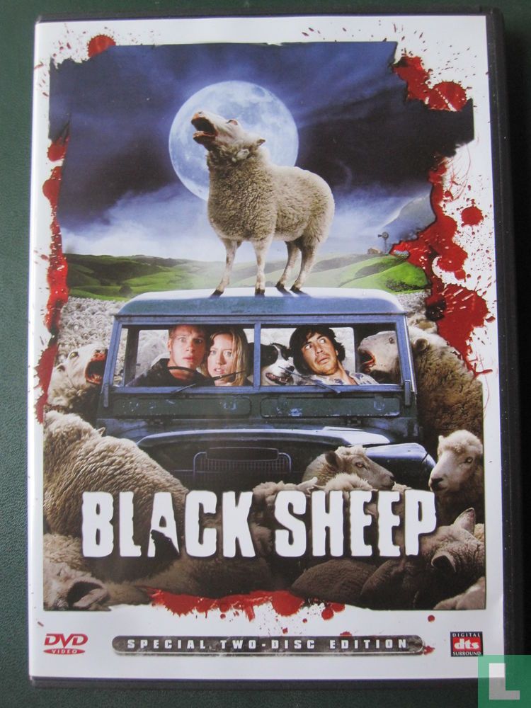 Black Sheep (3)