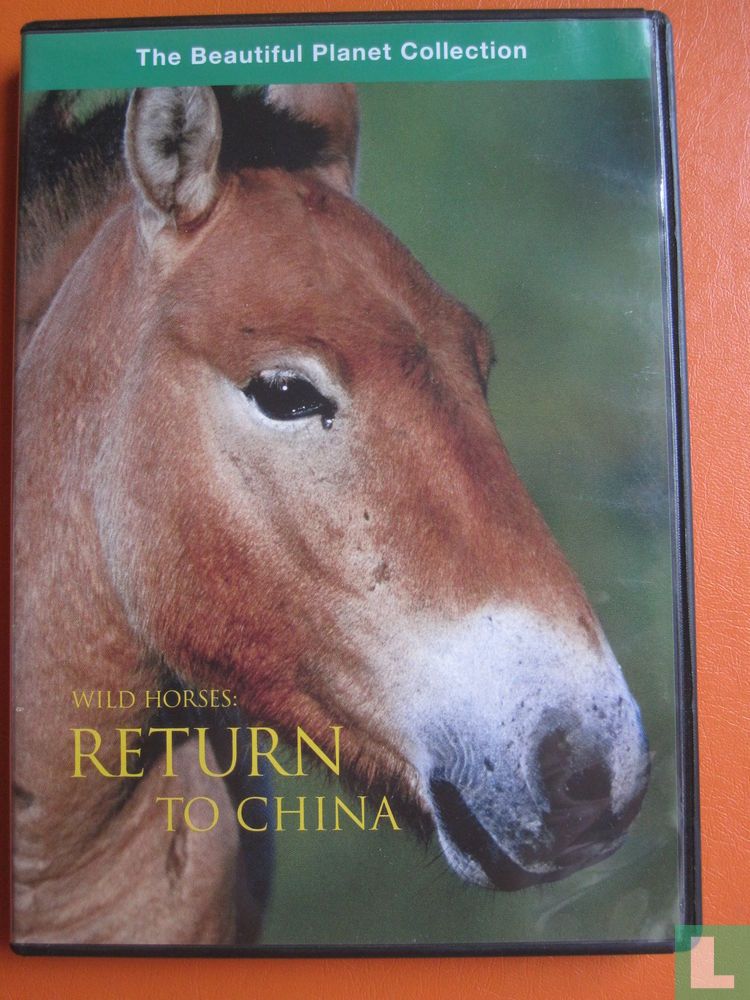 Wild Horses: Return to China
